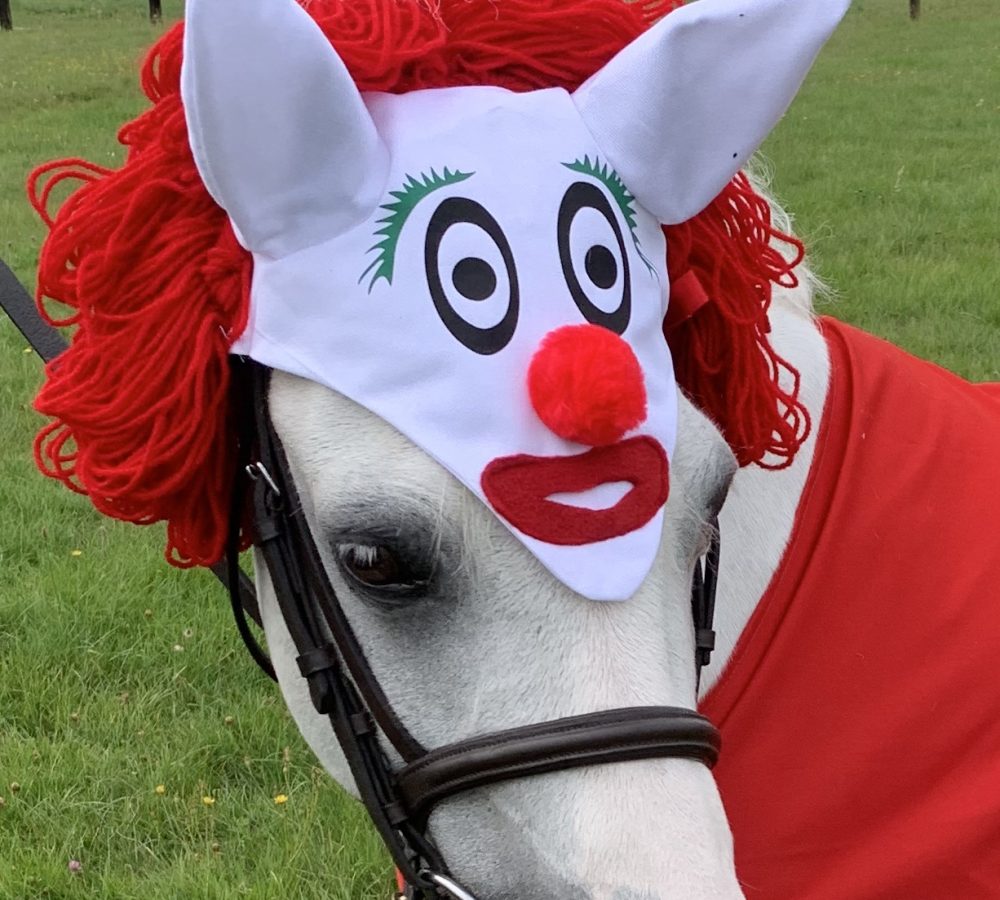 Clown Theme