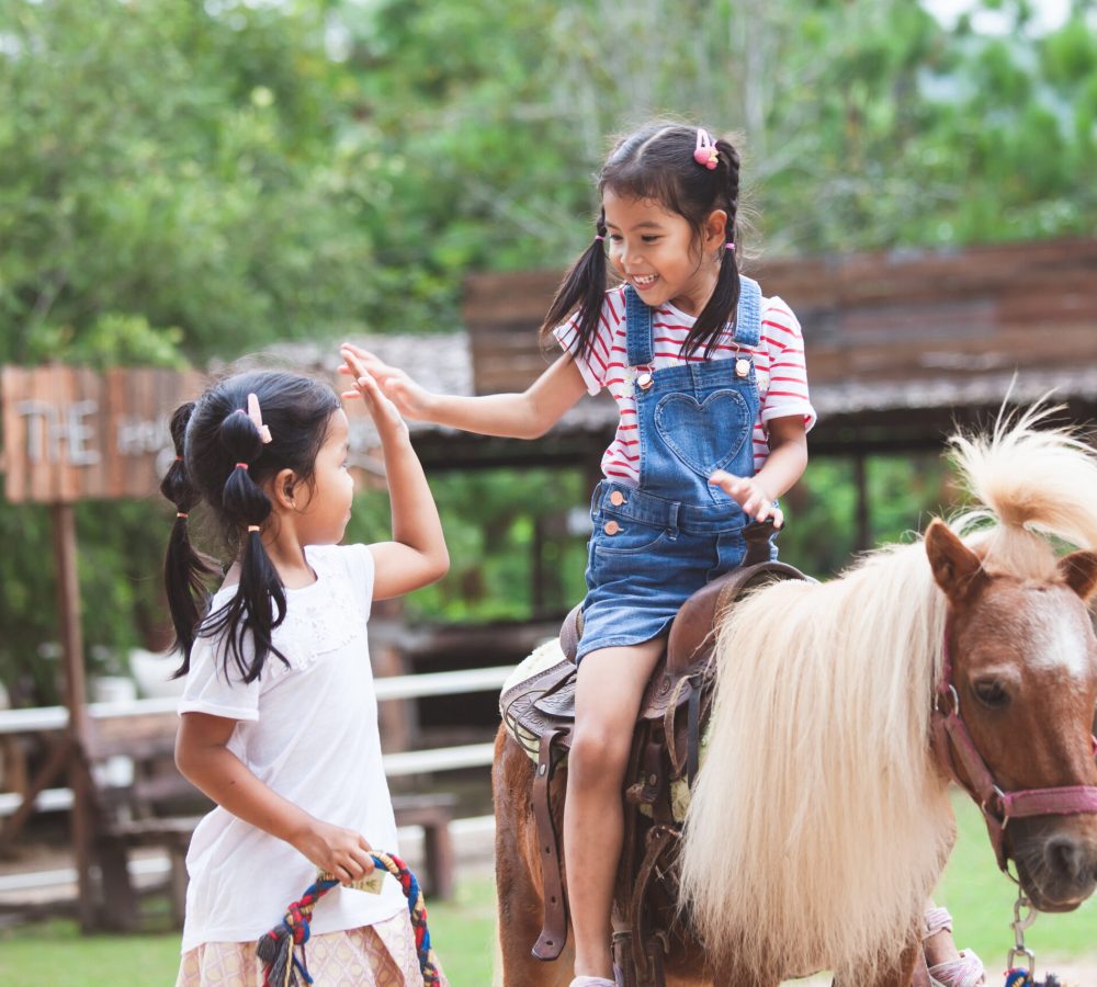 Cute asian child girl riding a pony and making hi five gesture with her elder sister in the farm with fun